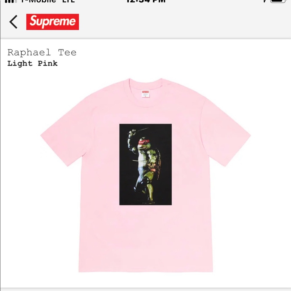 Supreme Raphael tee size:Med